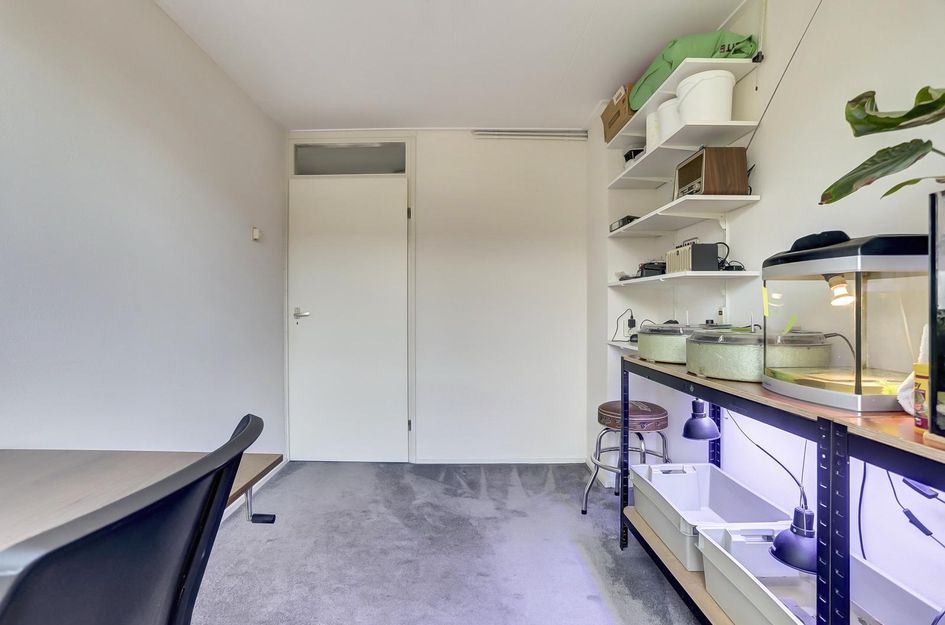 Dolphijnstraat 43