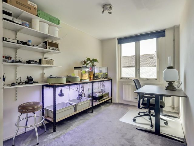 Dolphijnstraat 43, Hoek Van Holland