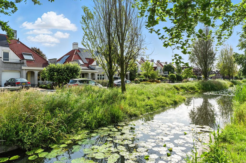 De Vang 12