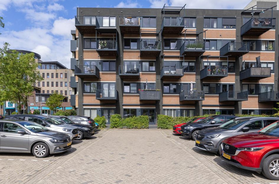 Zandsteen 97