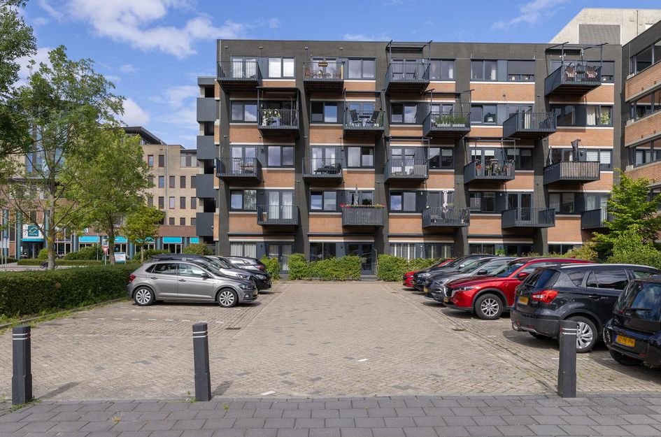 Zandsteen 97