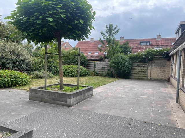 Steenbok 31, Katwijk