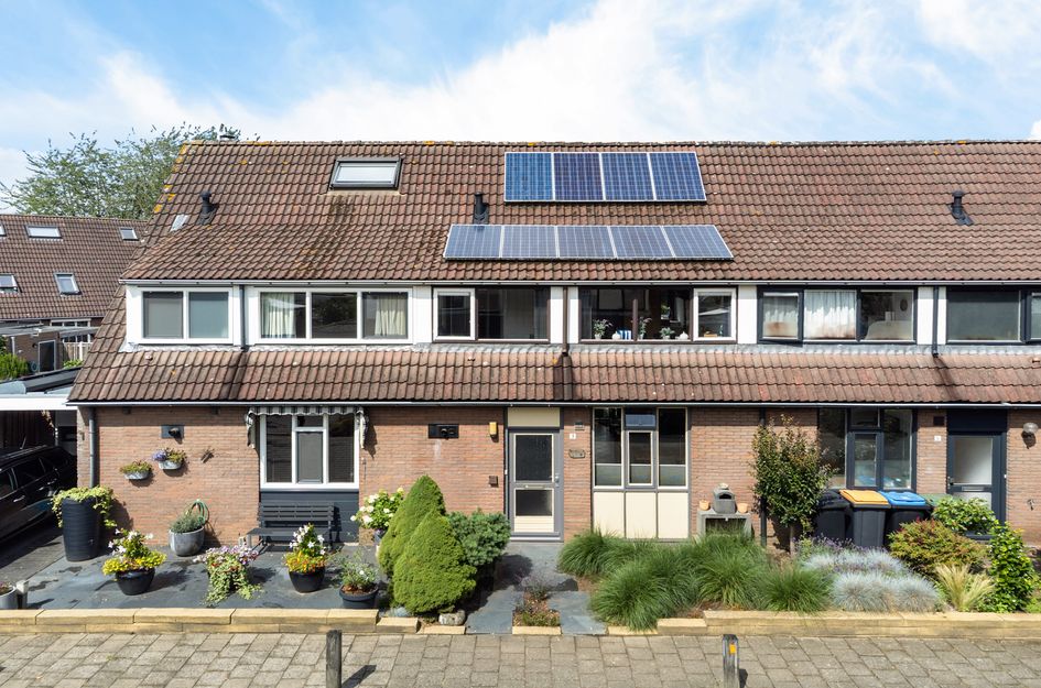 Sleutelbloem 3