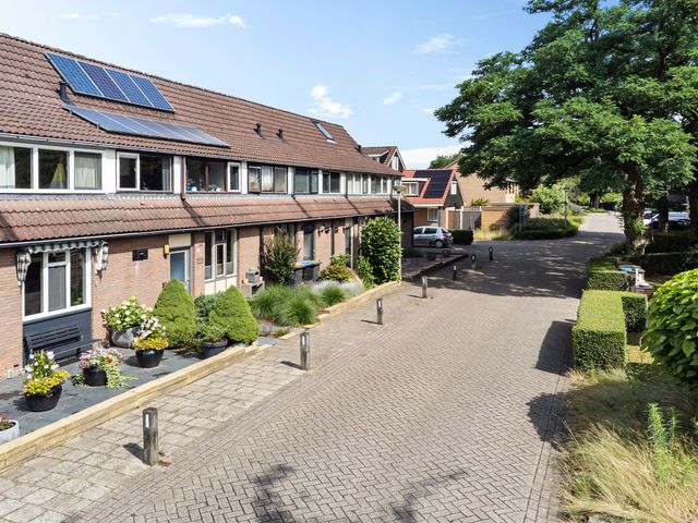 Sleutelbloem 3, Deventer