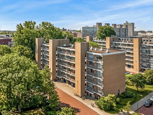 Boerhaavelaan 197, Leiden