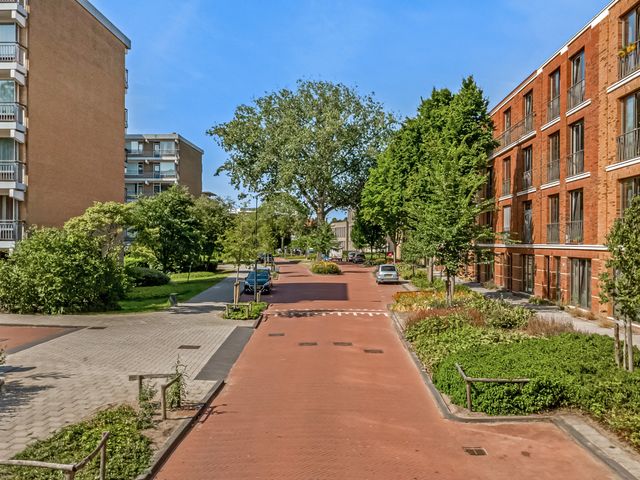 Boerhaavelaan 197, Leiden