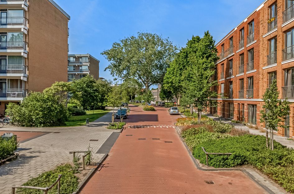 Boerhaavelaan 197