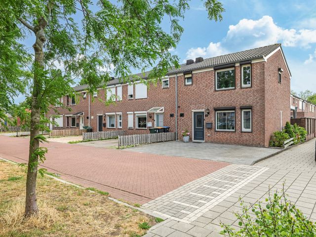 Ornament 2, Beuningen