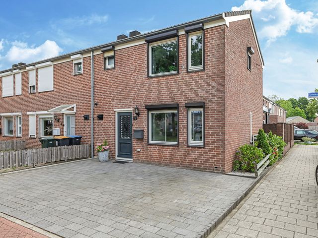 Ornament 2, Beuningen