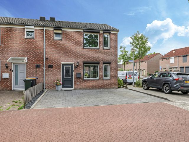 Ornament 2, Beuningen