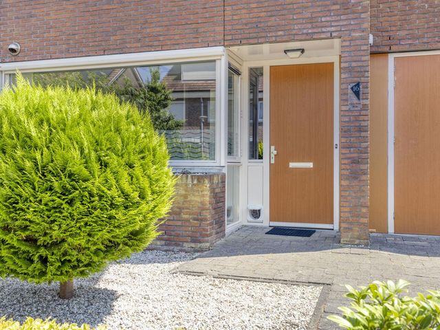 Kleefkruid 16, Puttershoek