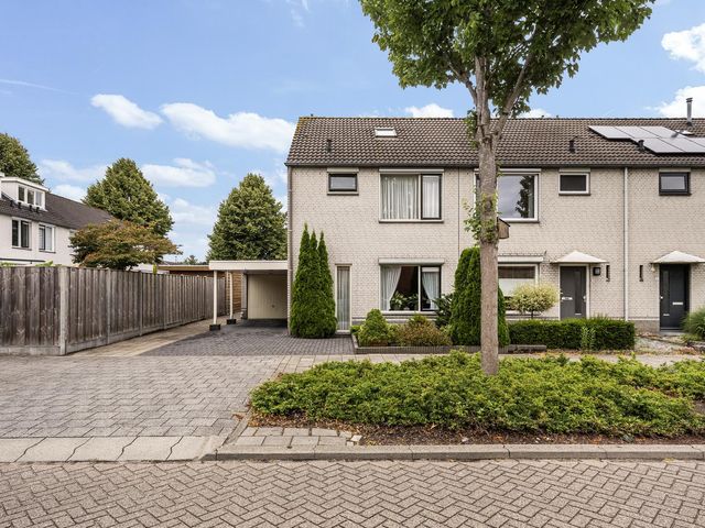 Ekster 1, Raalte