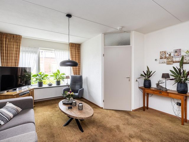 Ekster 1, Raalte