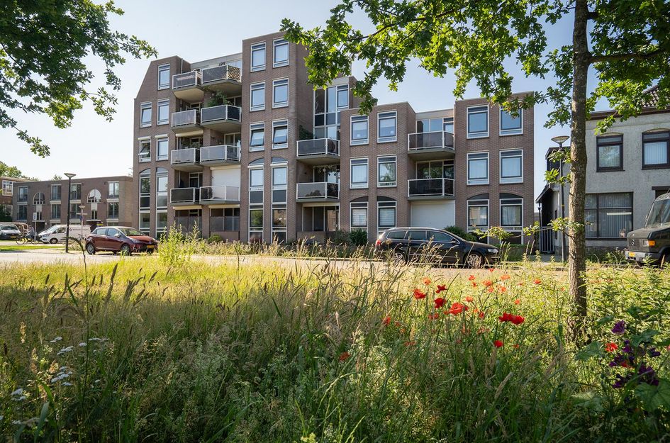 Tweede Bothofdwarsstraat 2 13