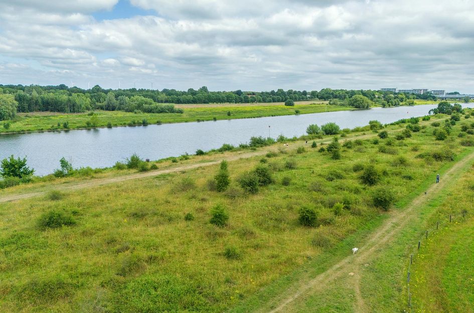 Watermunt 144