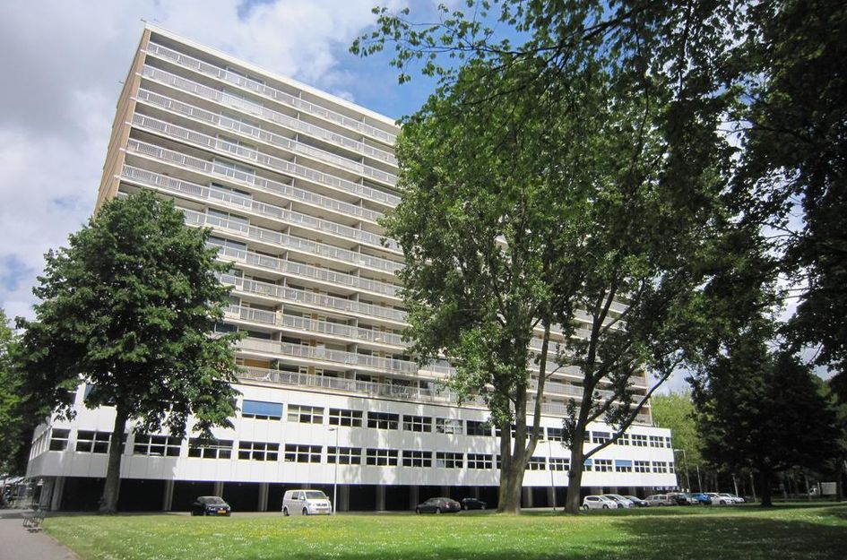 Weerdestein 41