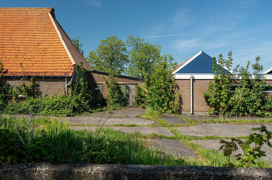 Janssen-Stichting 6