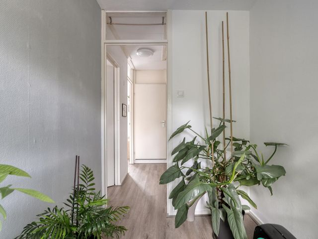 Wederikplantsoen 22, Gouda