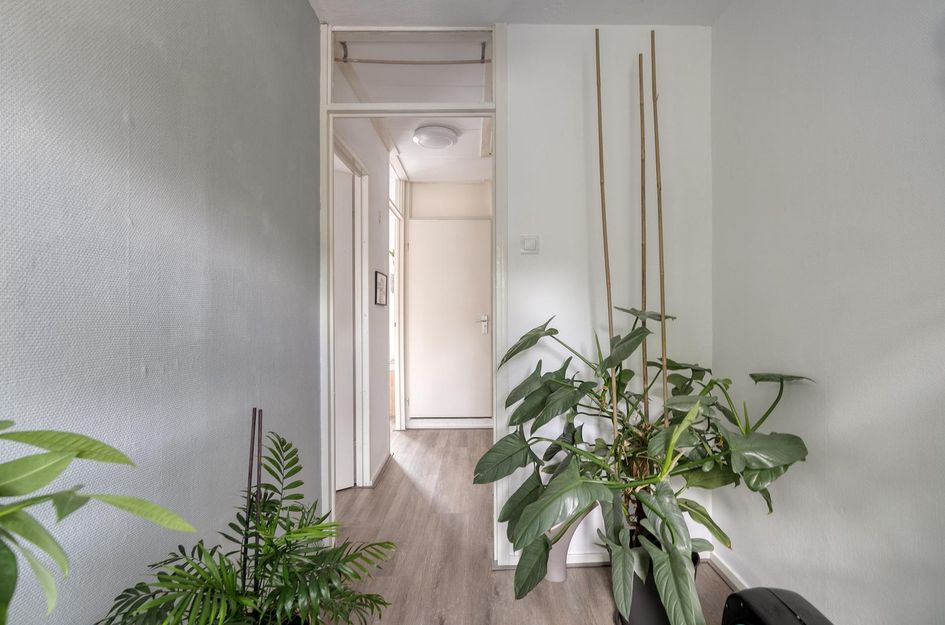 Wederikplantsoen 22