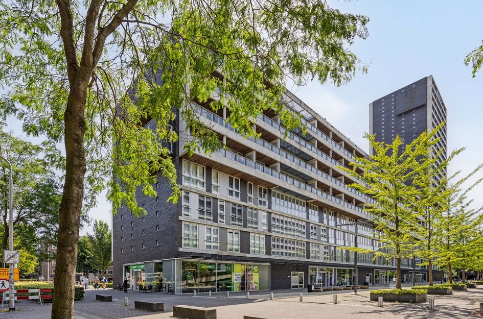 Professor de Moorplein 474