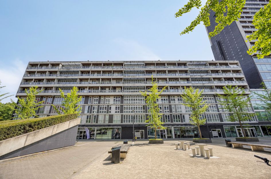 Professor de Moorplein 474