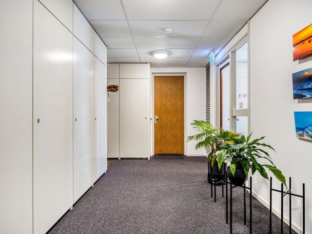 Professor de Moorplein 474, Tilburg