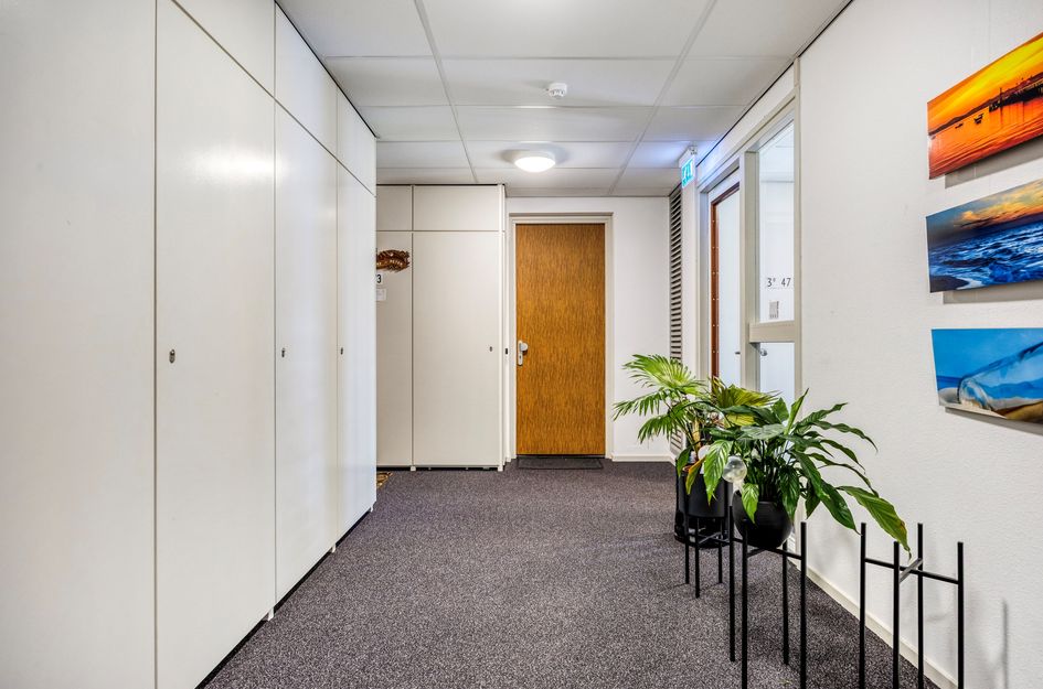 Professor de Moorplein 474