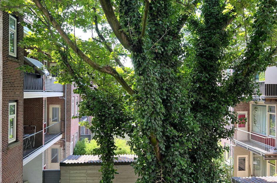 Schiedamseweg 28B 01