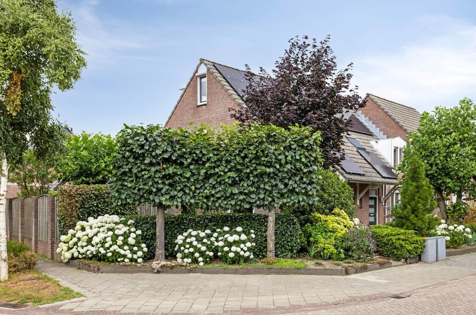 Carmelietenstraat-west 41