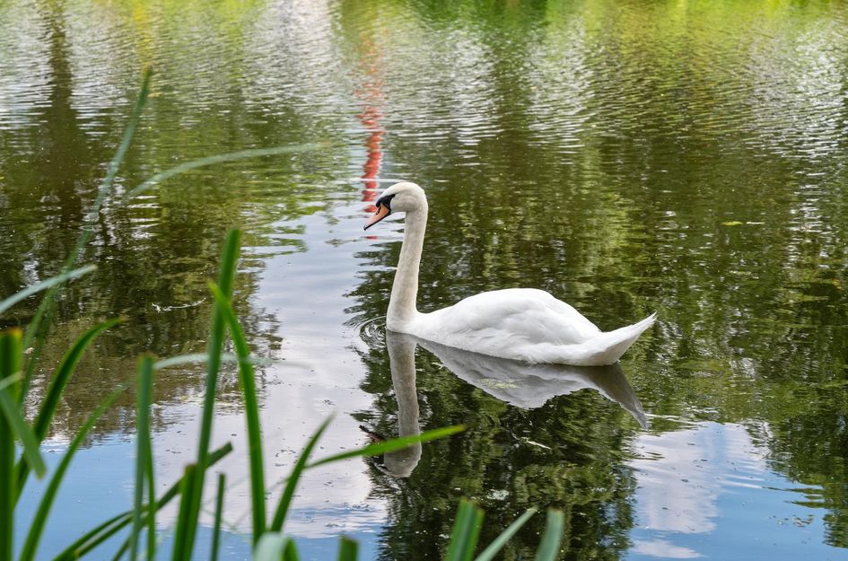 Boezemkade 221