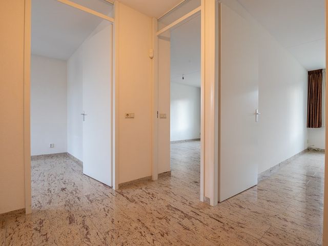 Eliza Van Calcarstraat 5, Amsterdam