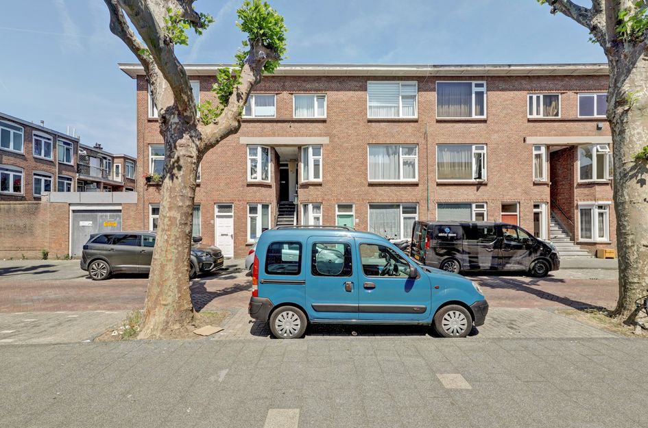Majubastraat 25
