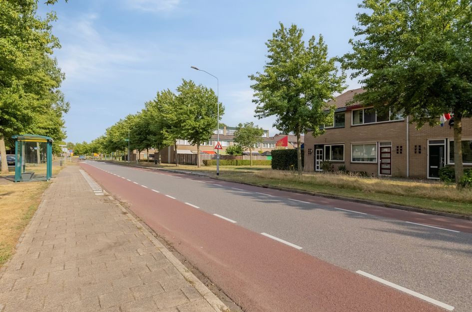 Halve Morgen 85