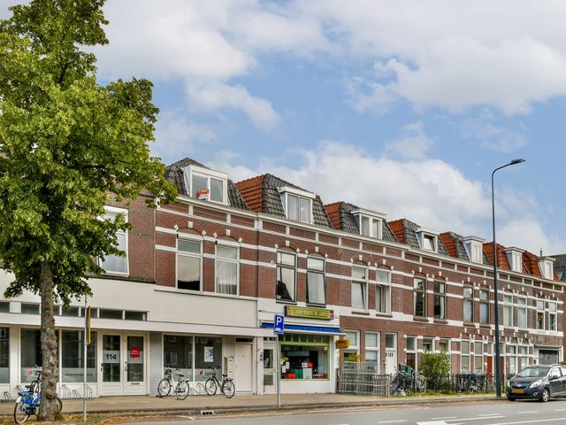 Hoge Rijndijk 116D, Leiden