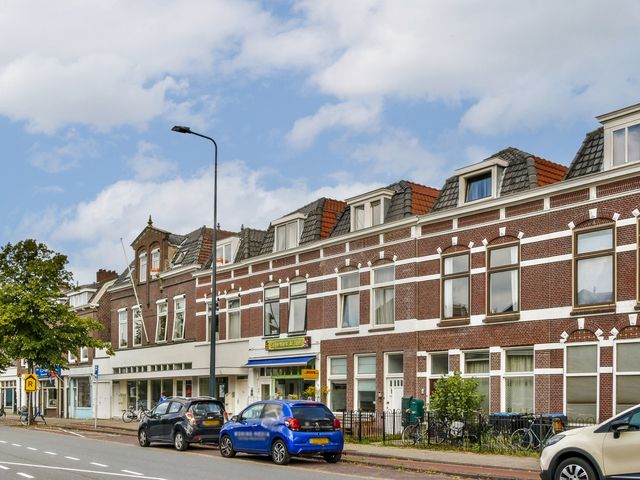 Hoge Rijndijk 116D, Leiden