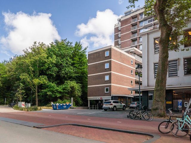 Boslaan 249, Den Haag
