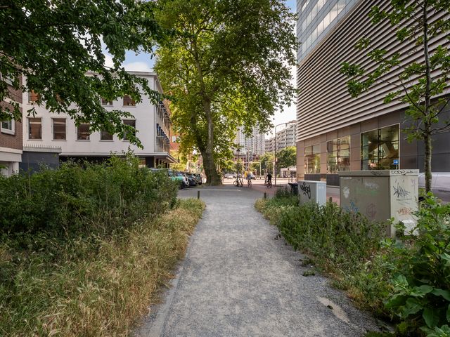 Boslaan 249, Den Haag
