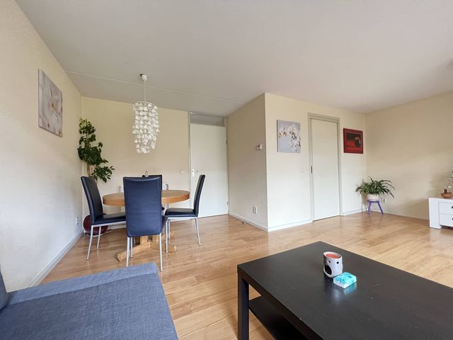 Pijlstaartvlinder 33, Utrecht