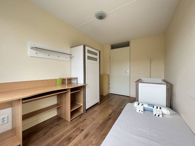 Pijlstaartvlinder 33, Utrecht