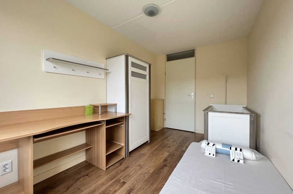 Pijlstaartvlinder 33