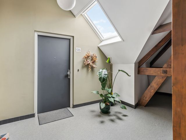 Oleanderstraat 135, Rotterdam