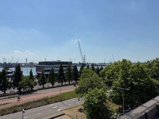 Westzeedijk 587, Rotterdam