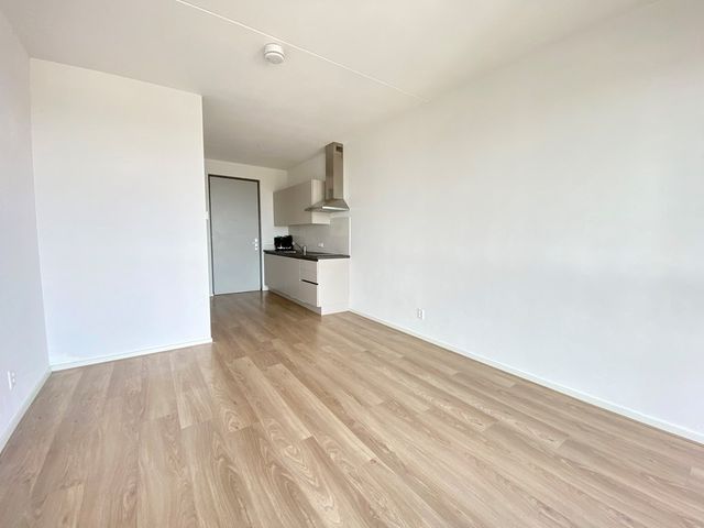 Laakweg 29J, Den Haag