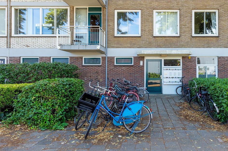 Van Bijnkershoeklaan 65