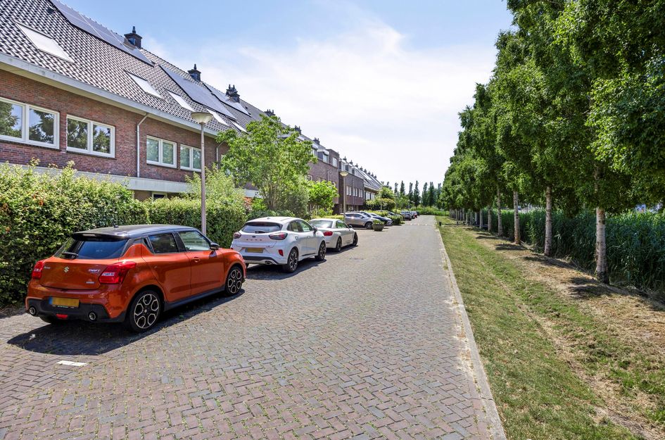 Paardenbloemsingel 61