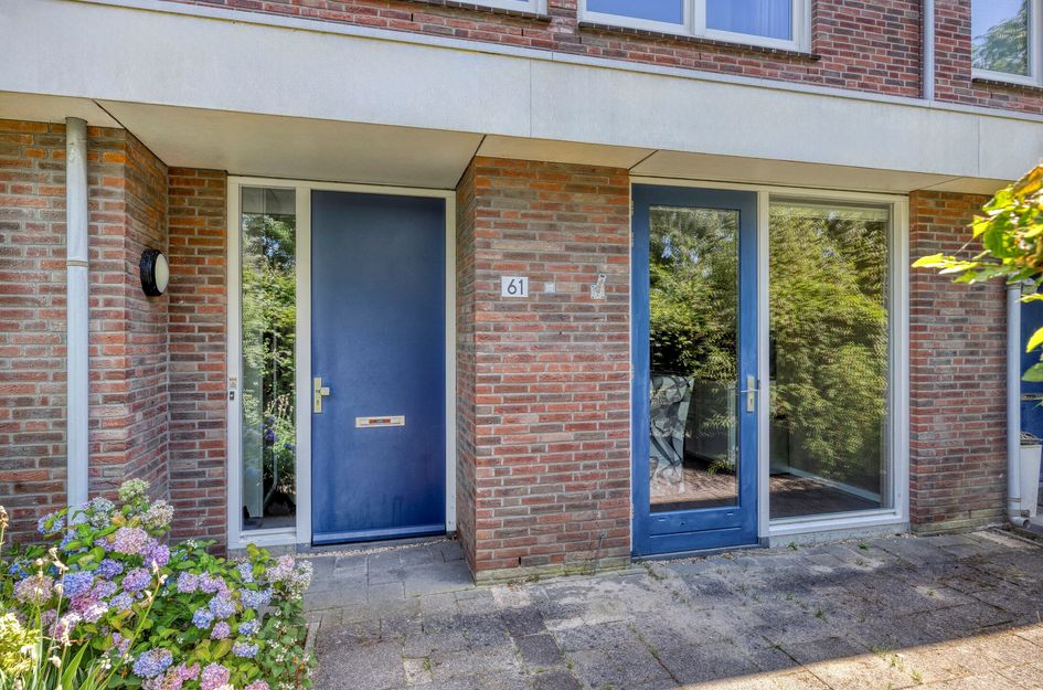 Paardenbloemsingel 61