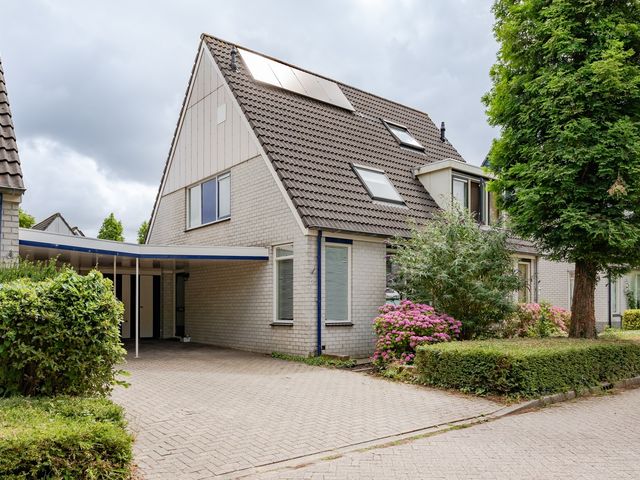 Harn 45, Midwoud