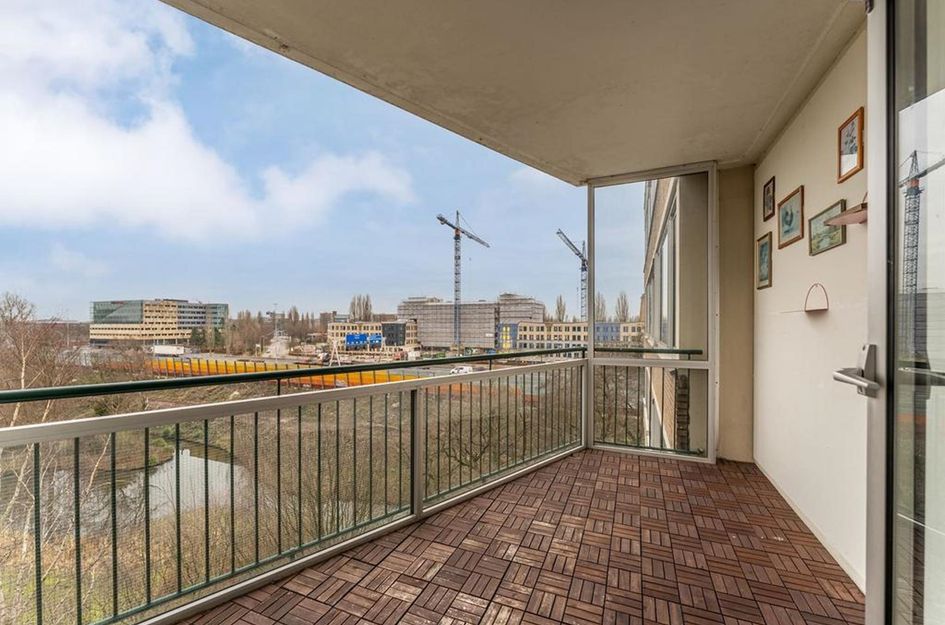 Meander 603