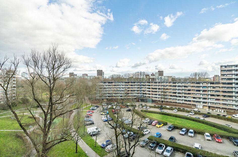 Jonkerbos 193