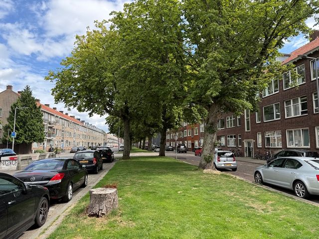 Goereesestraat 116B, Rotterdam